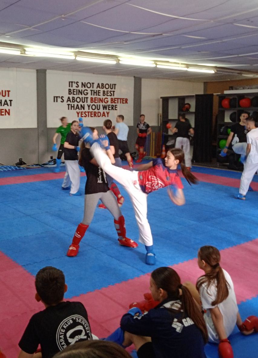Read more about the article Trofej Bijeljine 2025. i zajednički treninzi za kadete