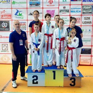Read more about the article Regionalna karate liga za mlade